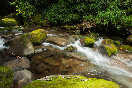 DSC_7088.jpg by Jose Nicdao, nature landscape philippines mindanao bukidnon