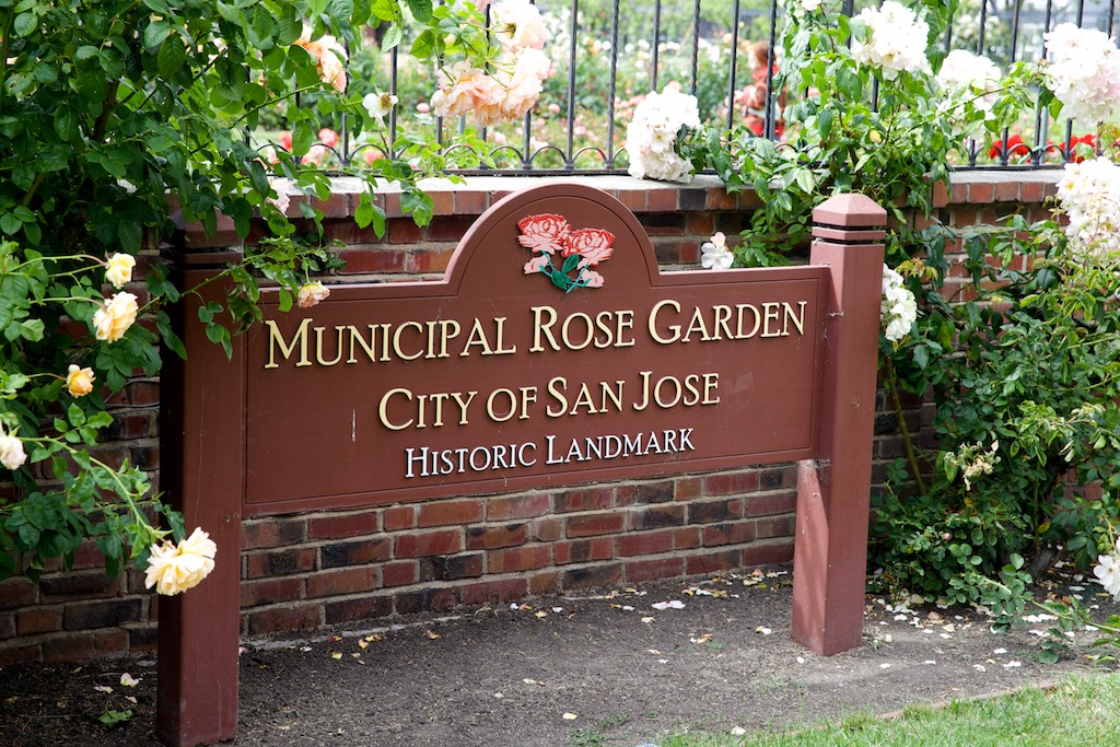 San Jose Municipal Rose Garden