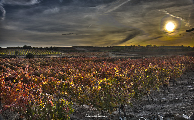 Atardecer en Rioja  HDR.-Sunset in Rioja.  Nº112