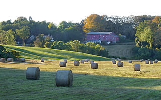 Deborah's Rock Farm, Hay Bales