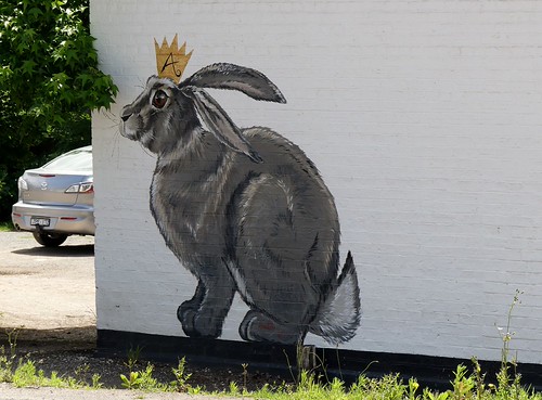 alexandra rabbit | 75kombi | Flickr