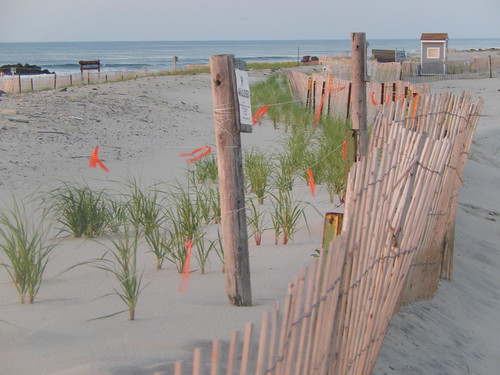 fence dawn sanddune jerseyshore beachscape