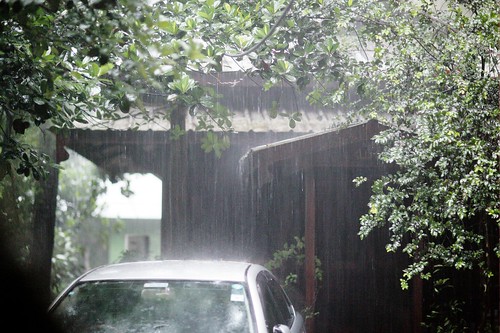 home rain earlymorning monsoon windshield frontyard bangladesh chittagong rabiarahmanlane