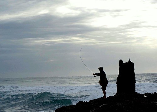 sea fishing saltrock sonynex6