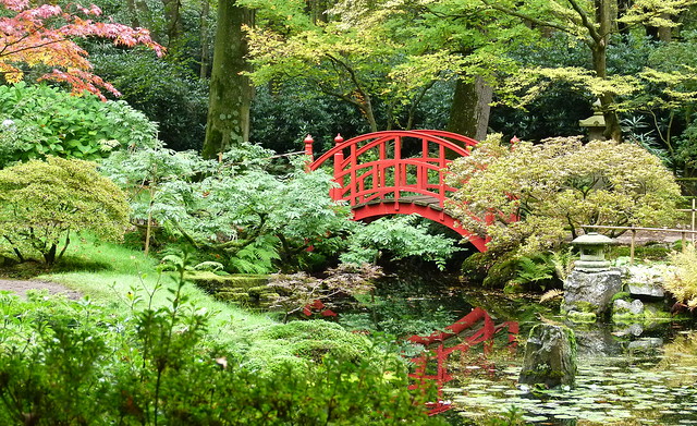 Japanse tuin in de herfst, park Clingendael, Den Haag
