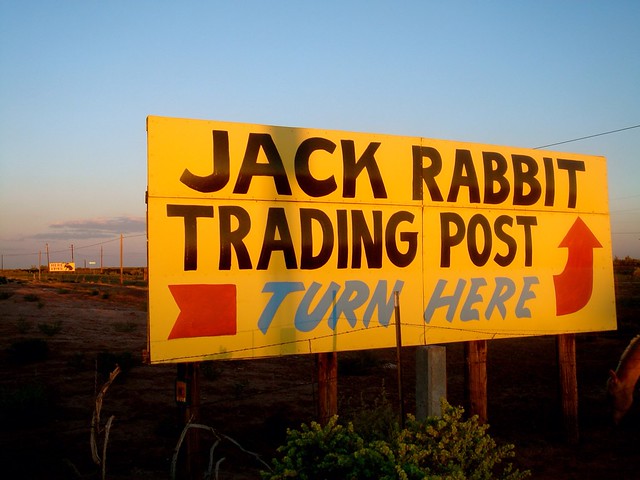 Jack rabbit / joseph city / AZ