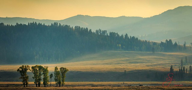 Golden Hour in Yellowstone
