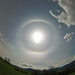 Opsané halo vzniká spojením dotykových oblouků kolem malého hala při výšce Slunce více než 55° nad obzorem. 23. 4. 2012, Nýdek., foto: Martin Popek