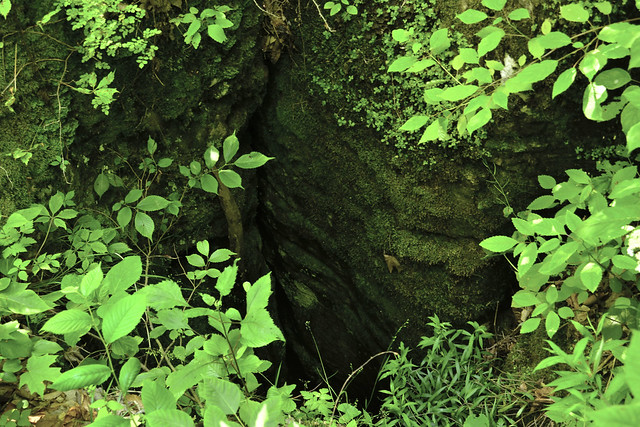 Rothrock Pit Cave