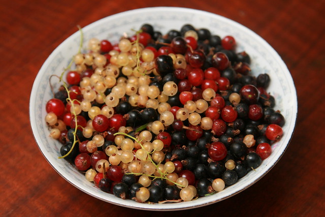 Red, black and white currants from our garden.