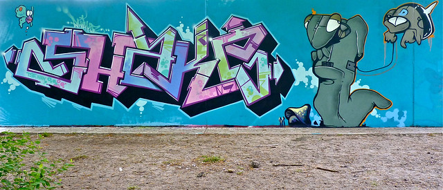 Den Haag Graffiti - SHAKE & DESONE
