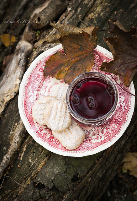 mulled wine with cinnamon cookies on tree trunk