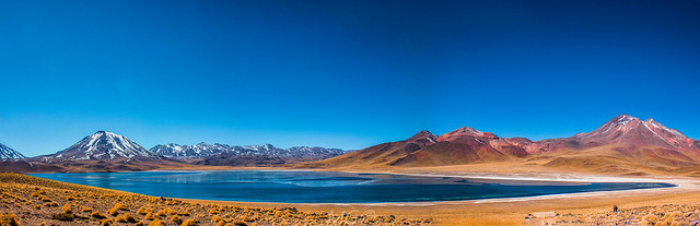 Laguna altiplanica Miñiques, San Pedro de Atacama.