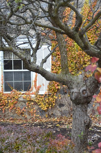 autumn wisconsin milwaukee window whitnallpark boernerbotanicalgardens