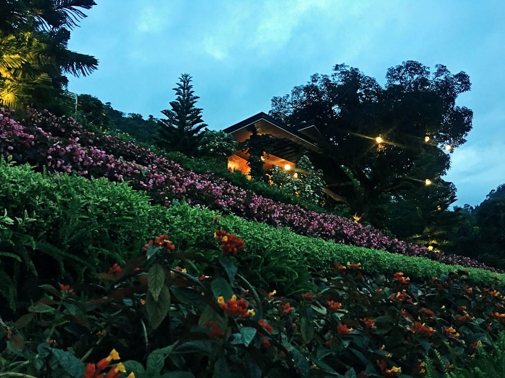 Terrazas De Flores Botanical Garden Busay S Romantic
