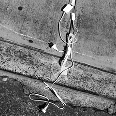 Powerless. Cable looking for voltage. Please share   #grahamrendothartist #renodesign #photo #bw #blackandwhitephotography #art #architecture #curator #gallery #travel #iphoneography #bwphotography #australia #electric #plugs