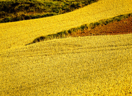 klaus ressmann omd em1 abstract castillaleon ecastrojeriz landscape spain summer design fields flcabsnat minimal wheat yellow klausressmann omdem1