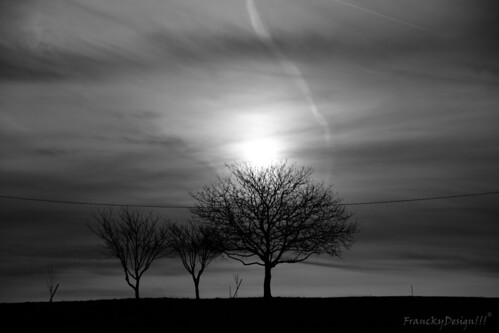 levé de soleil pour les arbres by FranckyDesign!!!, sony sigma1770mm crezilles alpha65 franckydesign
