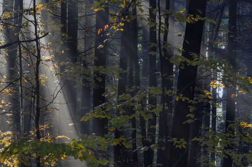DSC_9753 | by piotr_ramijan