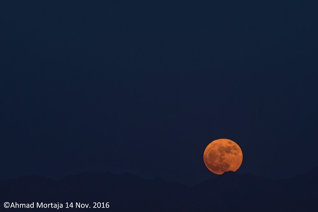 The Rise Of Monday Super Moon