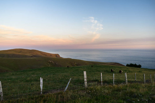 newzealand southisland bankspeninsula historicakaroaheads evening sea water southpacificocean ocean akaoraheads sunset landscape seascape fence fields sky