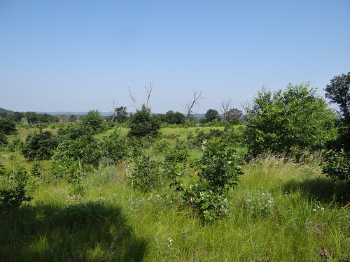 wisconsin scenery view prairie habitat barrens militarybase fortmccoy statenaturalarea