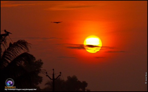 Morning by Anwer Reyaz, morning sun rise