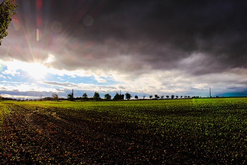 autumn Sunset by SK.Photos,