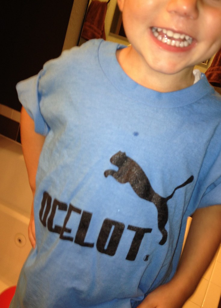 Little Ocelot | Phish Memory Archive | Flickr