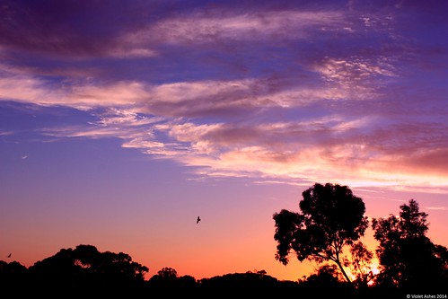 sunset sky silhouette photography peach australia southaustralia gawler sunsetphotography sunsetaday violetashessunset