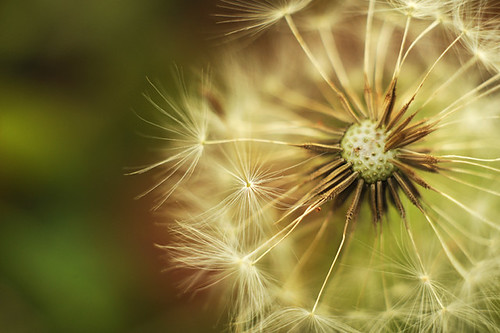 Atomic | by Perolo Orero - www.orerofotografia.com -