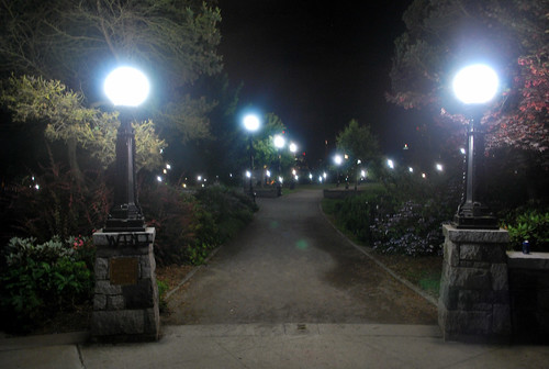 White Light at Midnight, Cal Anderson Park