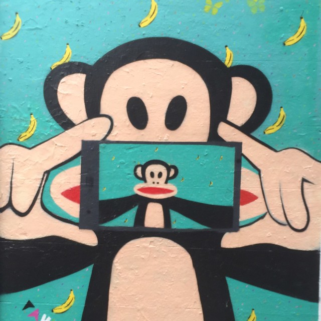 Monkey Graffiti in Brighton North Laines