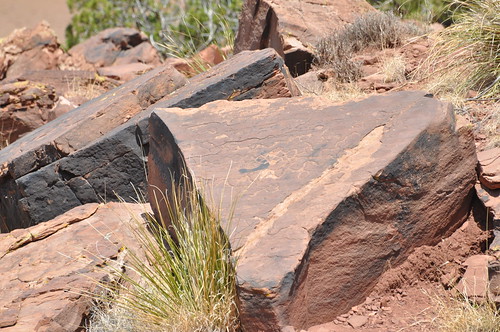 arizona petroglyph rockart peninsulatrail lymanlakesp