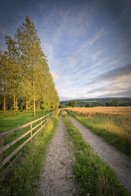 Rural Track - Yorkshire