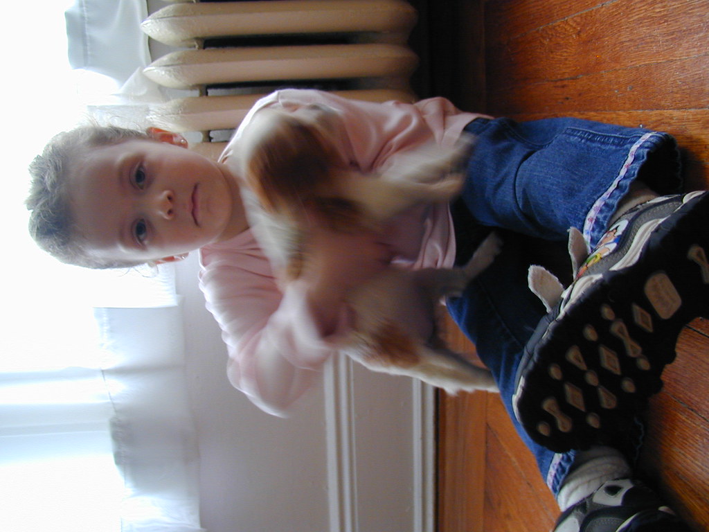 P5230100 | OLYMPUS DIGITAL CAMERA | Robert ORTIZ | Flickr