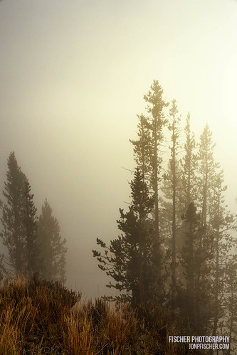 Yellowstone Fog | by cuda2k