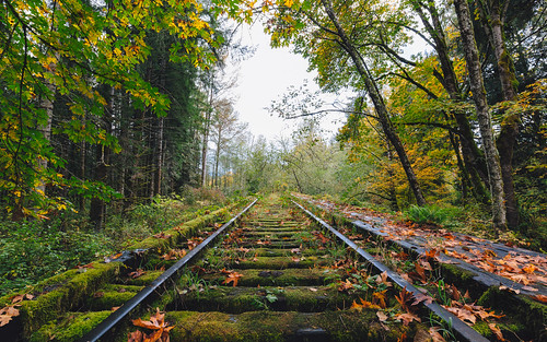 traintracks nature autumn fall autumncolors trees washington pacificnorthwest snoqualmie canoneos5dmarkiii canonef1635mmf4lis wallpaper background