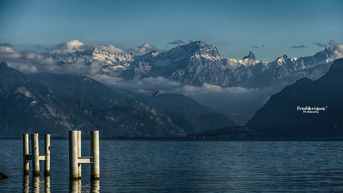 lumixfz1000 photoshop cameraraw suisse lac léman lausanne eau water oiseau bird bateau boat montagnes moutains nuages clouds ciel sky bleu blue paysage landscape