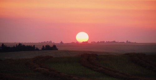 harvest  haze | by free spirit *