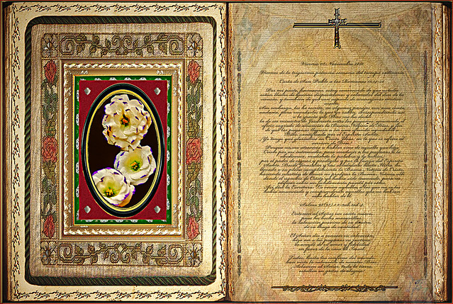 Lectura Carta de San Pablo a los Romanos 15,14-21. Viernes 08 Noviembre 2013