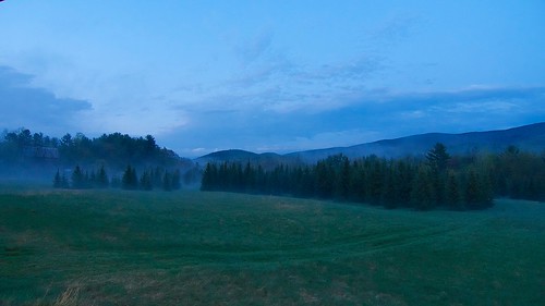 field fog landscape pines misttrail