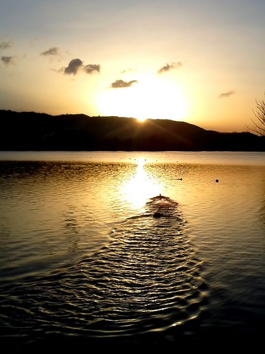 sunset lake water birds reflections lago tramonto trails uccelli acqua riflessi posta fibreno scia