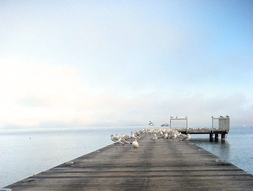 clouds fog pier gulls lakemendota uwmadison madisonwi