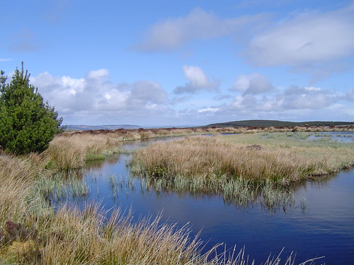 blue ireland sky lake heritage water beautiful clouds reeds landscape horizon rushes limerick peatbog oligotrophiclake ilobsterit loughgay mullaghareirkmountains