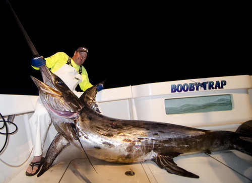 Booby-Trap-Fishing-Team-Swordfishing-monster-fish-in-texas | by boobytrapfishingteam