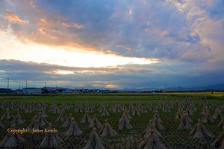 Sunset from the rice fields of Hiratsuka, Kanagawa Japan