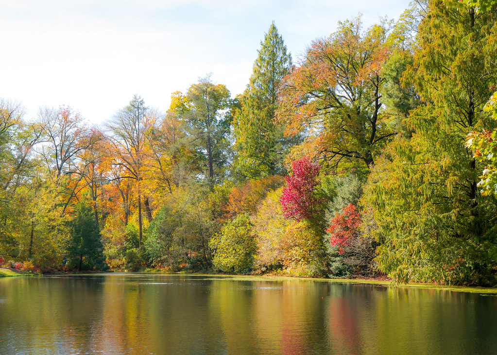 The Lake at Longwood Gardens, PA