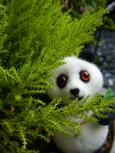 Peeking Panda | by *Penne*Pillswigger*
