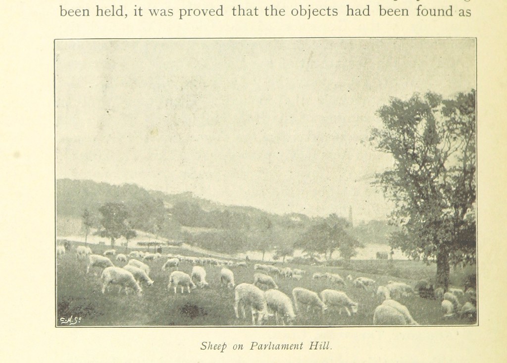 British Library digitised image from page 456 of "The Muni… | Flickr